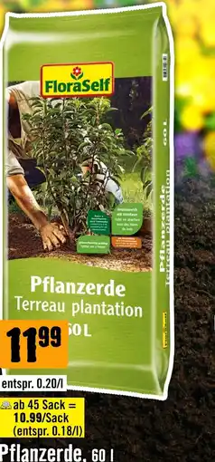 Hornbach FloraSelf Pflanzerde Angebot