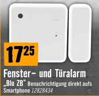 Fenster- und Türalarm Blu ZB