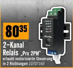 Hornbach Shelly 2-Kanal Relais „Pro 2PM“ Angebot