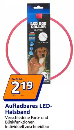 Action Aufladbares LED Halsband Angebot