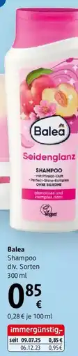 dm Balea Shampoo Angebot