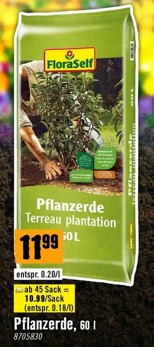 Pflanzerde