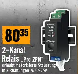 Hornbach 2-Kanal Relais „Pro 2PM" Angebot