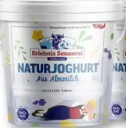 T&G Erlebnis Sennerei Zillertal Naturjoghurt Angebot
