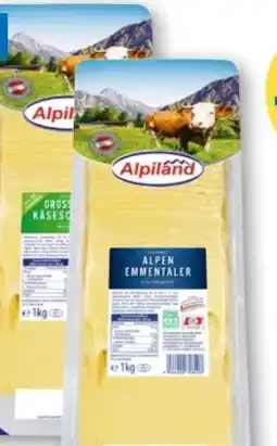 T&G Alpiland Käsescheiben Angebot