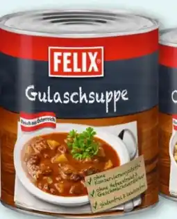T&G Felix Gulaschsuppe Angebot