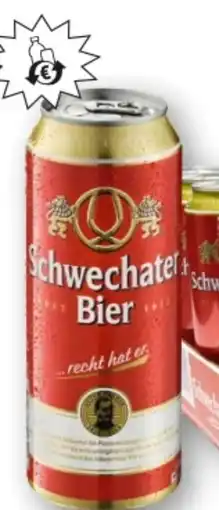T&G Schwechater Bier Angebot