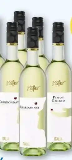 T&G Käfer Chardonnay Angebot