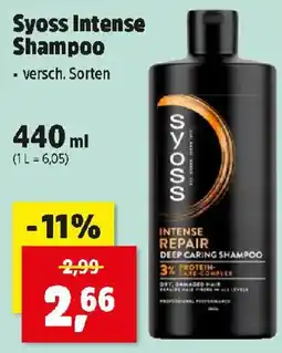 Thomas Philipps Syoss Intense Shampoo Angebot