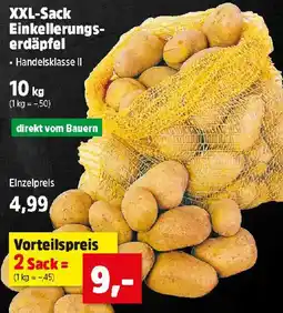 Thomas Philipps XXL-Sack Einkellerungserdäpfel Angebot