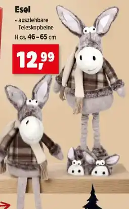 Thomas Philipps Esel Angebot