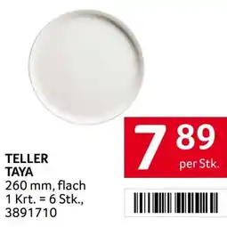 Transgourmet Teller Taya Angebot