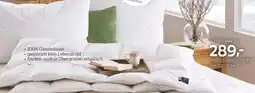 XXXLutz Ganzjahresdecke Angebot