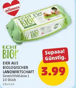PENNY Echt Big! Eier Angebot