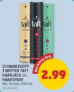 PENNY Schwarzkopf 3 Wetter Taft Haarlack Angebot