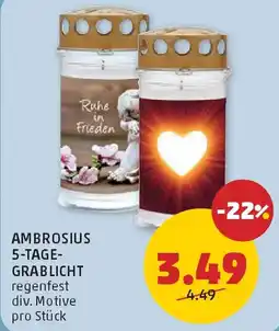PENNY Ambrosius 5-Tage-Grablicht Angebot