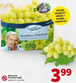 Billa SanLucar Trauben weiß Angebot