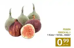 Transgourmet Feigen frisch Angebot