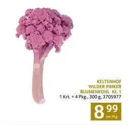 Transgourmet Keltenhof wilder pinker blumenkohl kl.1 Angebot