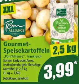 Norma Gourmet-Speisekartoffeln Pom Alliance Angebot