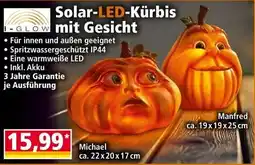 Norma Solar-LED-Kürbis mit Gesicht Angebot