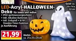 Norma I-GLOW LED-Acryl-Halloween-Deko Angebot