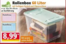 Norma Rollenbox 60 Liter Angebot