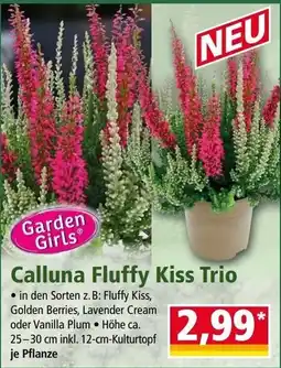 Norma Garden Girls Calluna Fluffy Kiss Trio Angebot