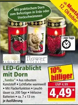 Norma LED-Grablicht mit Dorn "Tumba" Angebot