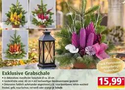 Norma Exklusive Grabschale Angebot