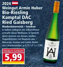 Norma Weingut Armin Huber Bio-Riesling Kamptal DAC Ried Gaisberg Angebot