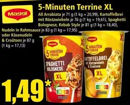 Norma Maggi 5-Minuten Terrine XL Angebot