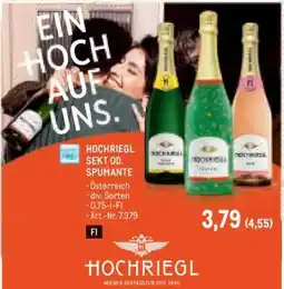 Metro HOCHRIEGL SEKT OD. SPUMANTE Angebot