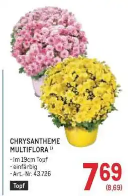 Metro CHRYSANTHEME MULTIFLORA Angebot