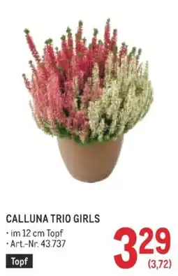 Metro Calluna Trio Girls Angebot