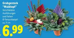 Lidl Grabgesteck "Waldtopf" Angebot