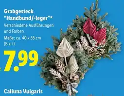 Lidl Grabgesteck Handbund/-leger* Calluna Vulgaris Angebot
