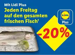Lidl frischen Fisch Angebot