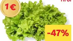 MPreis Gentile Salat Angebot