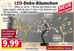 Norma LED-Deko-Bäumchen I-GLOW Angebot
