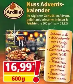 Norma Nuss Adventskalender Ardilla Angebot