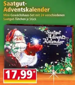 Norma Saatgut-Adventskalender Angebot