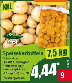 Norma Ernte Krone Speisekartoffeln Angebot