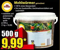 Norma Mehlwürmer getrocknet Angebot