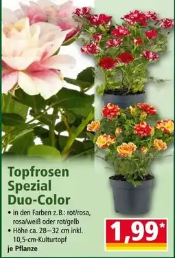 Norma Topfrosen Spezial Duo-Color Angebot