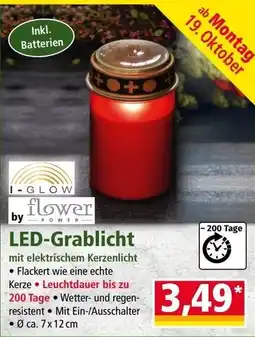 Norma LED-Grablicht by I-GLOW flower POWER Angebot