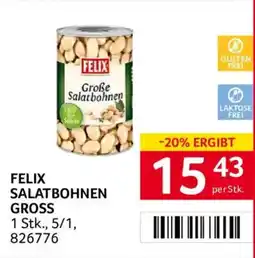 Transgourmet Felix Salatbohnen Gross Angebot