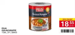 Transgourmet Felix Gulaschsuppe Angebot
