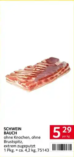 Transgourmet Schwein Bauch Angebot
