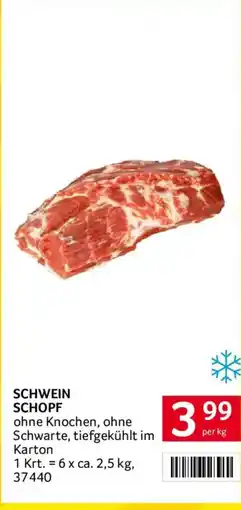 Transgourmet Schwein Schopf Angebot